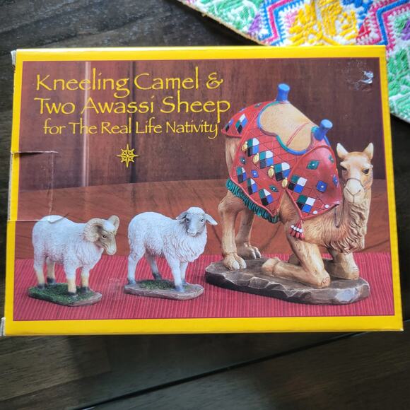 Real Life Nativity Kneeling Camel 2 Awassi Sheep - Picture 5 of 5
